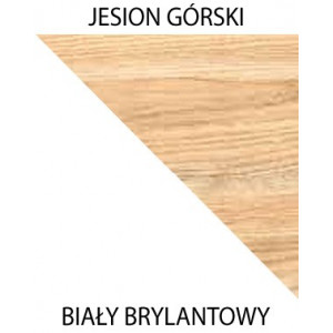 GAPPA Biurko - Jesion górski / biały brylantowy / GA12 4/9
