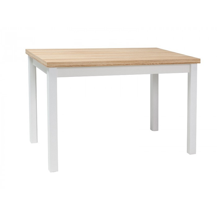 Stół adam biały mat 100x60