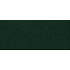 Sofa w askamitnej tkaninie ESPERO 3 - zielony / R38 3/9